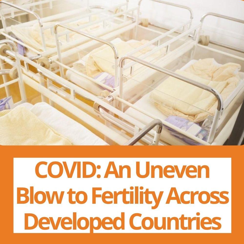Link to related stories. Image: hospital cribs for newborns. Story headline: COVID: An Uneven Blow to Fertility Across Developed Countries. 