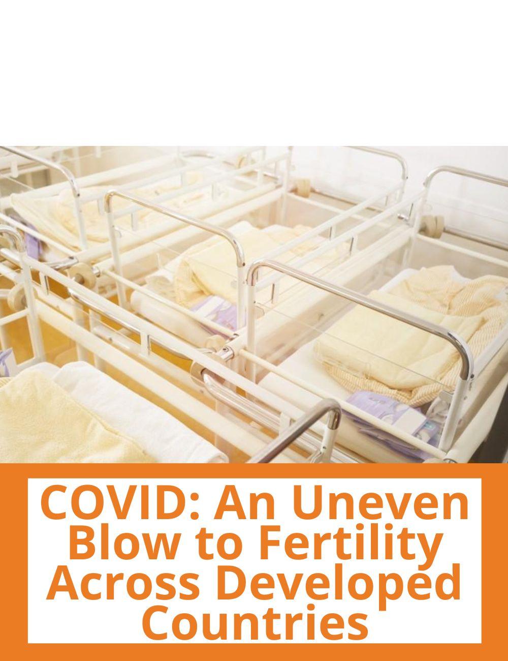 Link to related stories. Image: hospital bassinets. Story headline: COVID: An Uneven Blow to Fertility Across Developed Countries