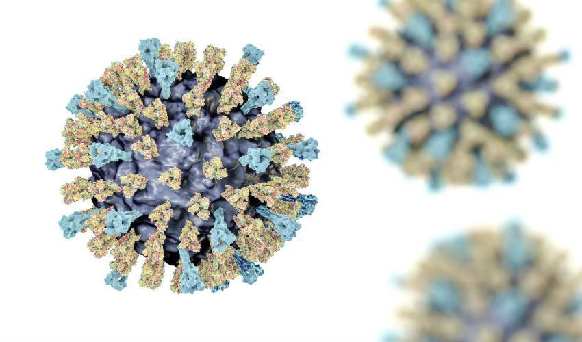 Healthcare Cuts Strongly Linked to the Resurgence of Measles