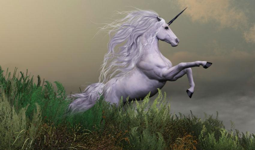 Sovereign Wealth Funds Go Hunting for Unicorns