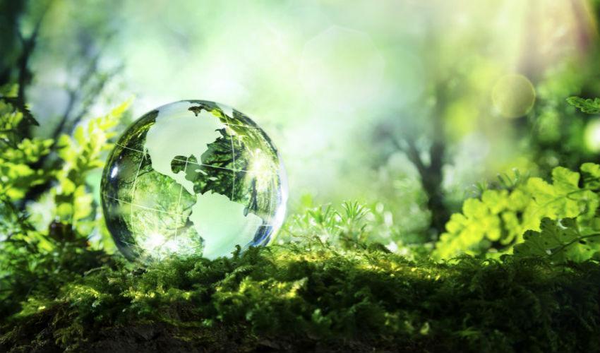 Institutional Investors Boost a Company's Environmental and Social Performance, a New Study Finds. But Only if They Are European